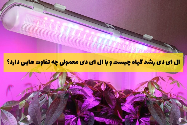 ال ای دی رشد گیاه چیست و با ال ای دی معمولی چه تفاوت های دارد؟